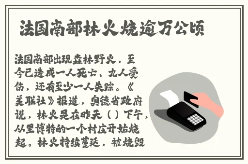 混乱小镇公交车检票员